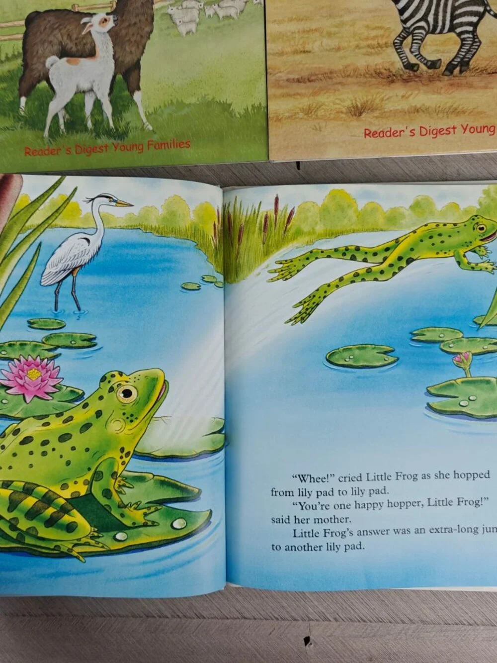 Reader's Digest Little Animal Adventures Book Lot Of 11 Hardcovers Illustrated